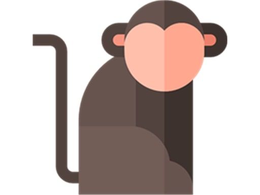 Memorized! - browser game screenshot