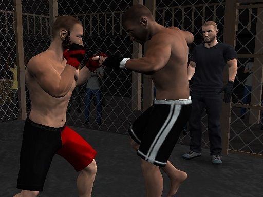 Undisputed MMA - browser game screenshot