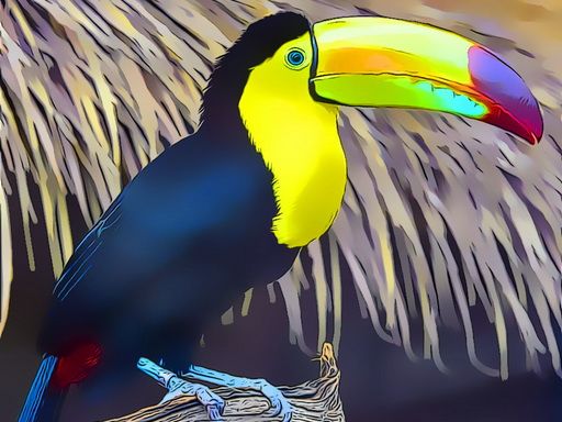 Toucan Bird Jigsaw - browser game screenshot