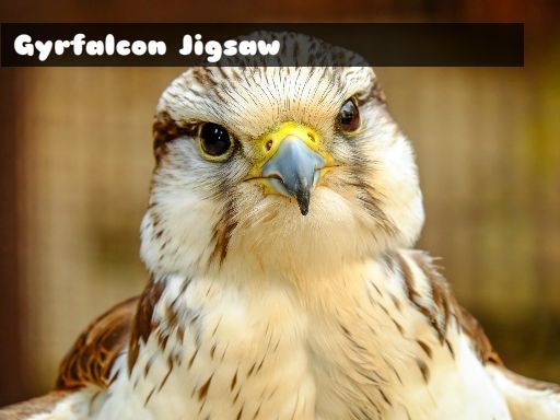 Gyrfalcon Jigsaw Gyrfalcon Jigsaw - browser game screenshot