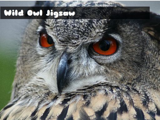 Wild owl Jigsaw - browser game screenshot