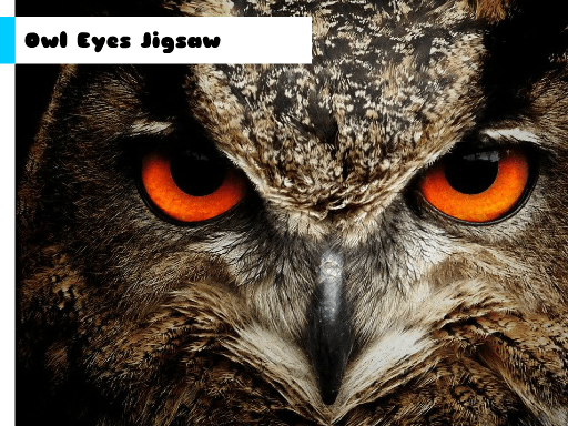 Owl Eyes Jigsaw - browser game screenshot