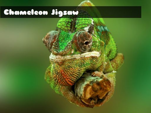 Chameleon Jigsaw - browser game screenshot
