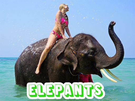 Elephants Puzzle - browser game screenshot