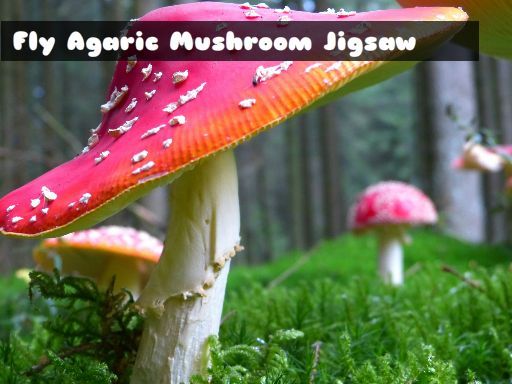 Fly Agaric Mushroom Fly Agaric Mushroom - browser game screenshot