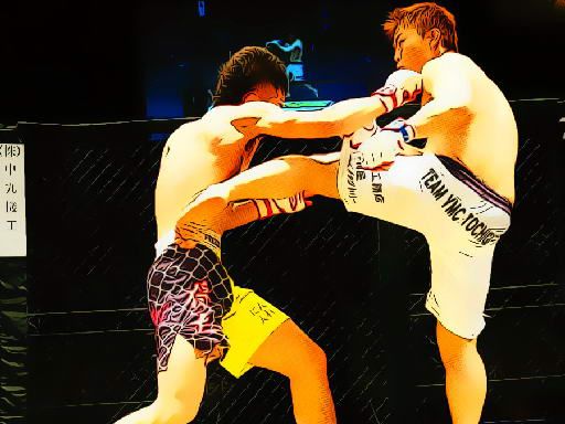 UFC Fighting Match Jigsaw - browser game screenshot