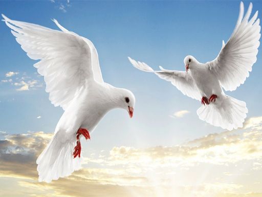 Flying Birds Slide Flying Birds Slide - browser game screenshot