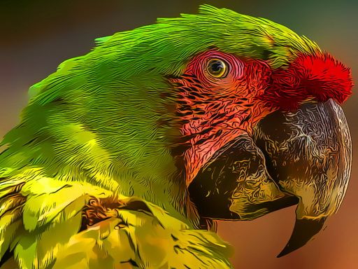 Parrot Bird Puzzle - browser game screenshot