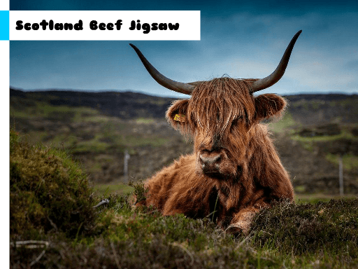 Scotland Beef Jigsaw - browser game screenshot