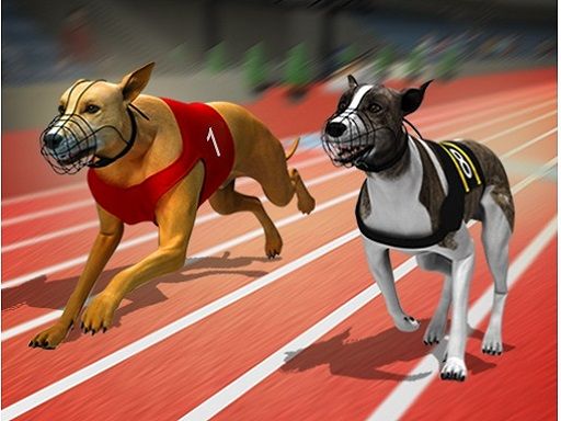 Racing Dog Simulator : Crazy Dog Racing Games - browser game screenshot