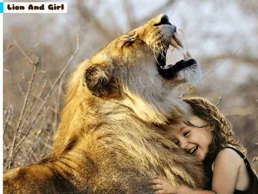Lion And Girl Jigsaw Lion And Girl Jigsaw - browser game screenshot