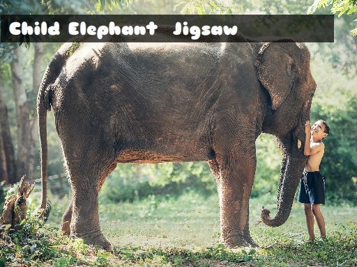Child Elephant Jigsaw - browser game screenshot