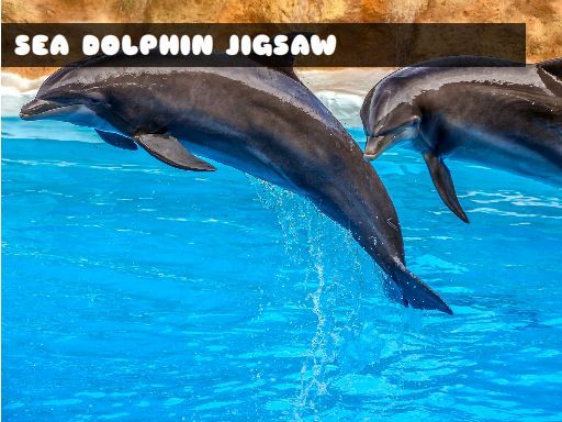 Sea Dolphin Jigsaw - browser game screenshot