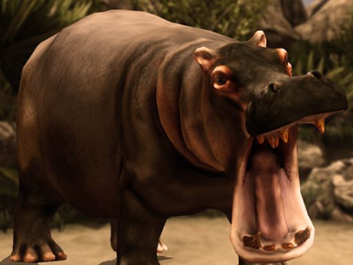 Wild HIPPOPOTAMUS Hunting  - browser game screenshot