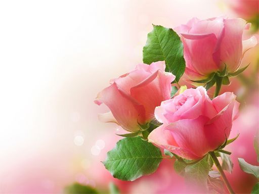 Pink Roses Puzzle Pink Roses Puzzle - browser game screenshot