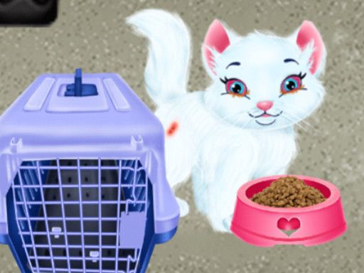 Baby Taylor Pet Care - browser game screenshot