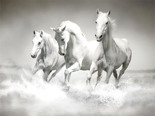 Horses Puzzle Horses Puzzle - browser game screenshot