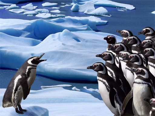 Penguins Slide - browser game screenshot