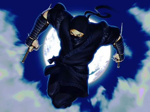 Ninja Defender Ninja Defender - browser game screenshot