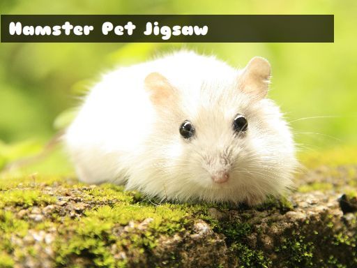Hamster Pet Jigsaw Hamster Pet Jigsaw - browser game screenshot