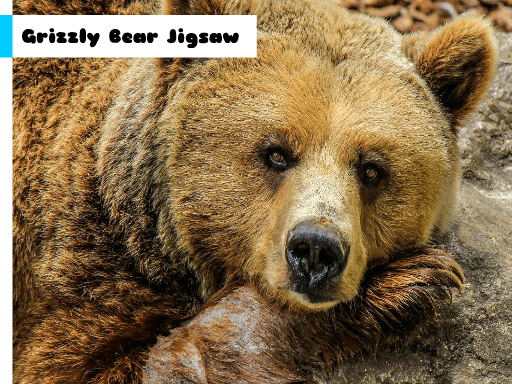 Grizzly Bear Jigsaw - browser game screenshot