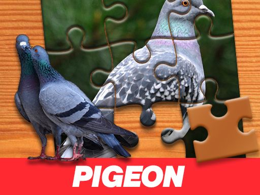 Pigeon Jigsaw Puzzle Pigeon Jigsaw Puzzle - browser game screenshot