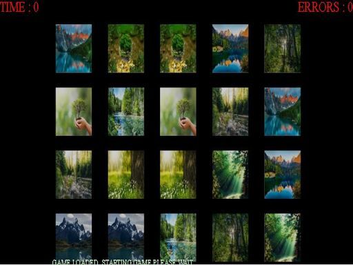 memorize nature - browser game screenshot