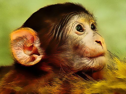Funny Baby Monkey - browser game screenshot