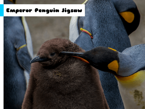 Emperor Penguin Jigsaw - browser game screenshot