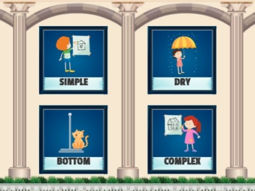 Opposite Photo Match - browser game screenshot