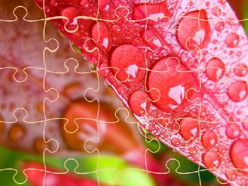 Jigsaw Puzzles Jigsaw Puzzles - browser game screenshot