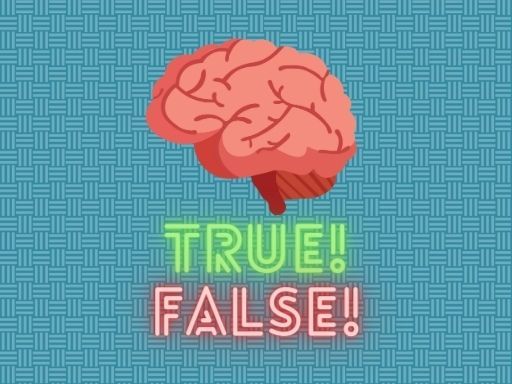 True or false quiz - browser game screenshot