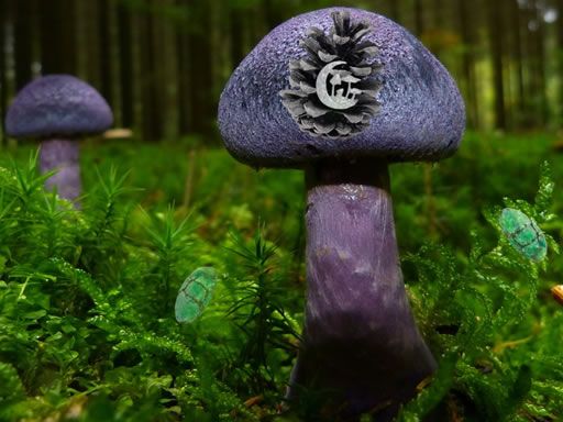 Mushroom Forest Adventure - browser game screenshot