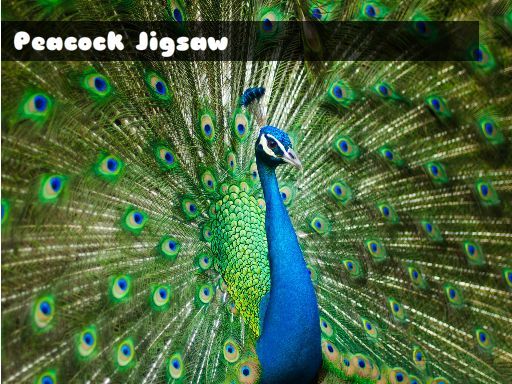 Peacock Jigsaw - browser game screenshot
