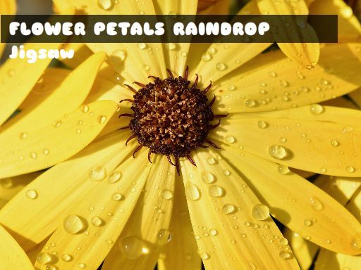 Flower Petals Raindrop Jigsaw - browser game screenshot