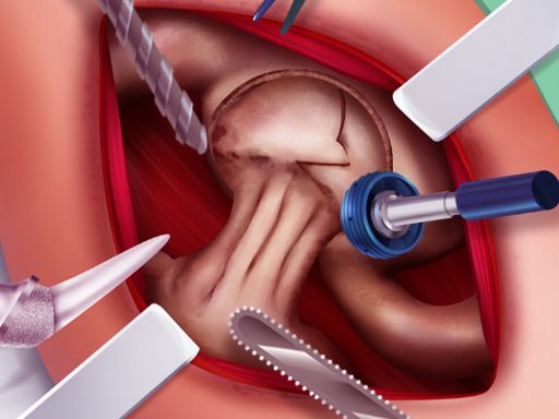 Princess Hips Surgery - browser game screenshot