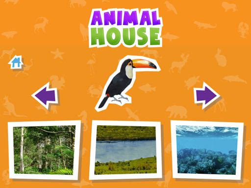Animal  House game - browser game screenshot