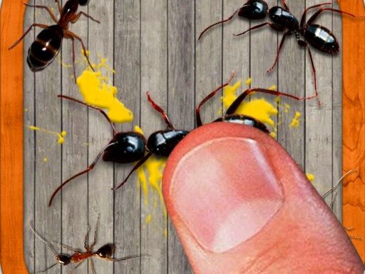 smash the insectt - browser game screenshot