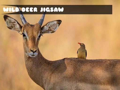 Wild Deer Jigsaw - browser game screenshot