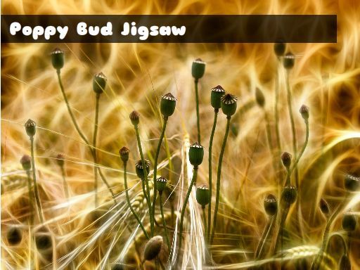 Poppy Bud Jigsaw Poppy Bud Jigsaw - browser game screenshot