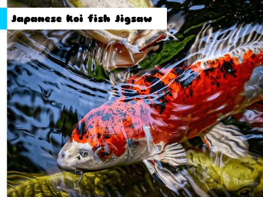 Japanese Koi Fish Jigsaw - browser game screenshot