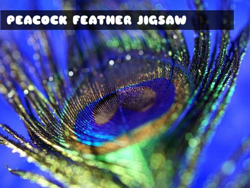 Peacock Feather Jigsaw - browser game screenshot