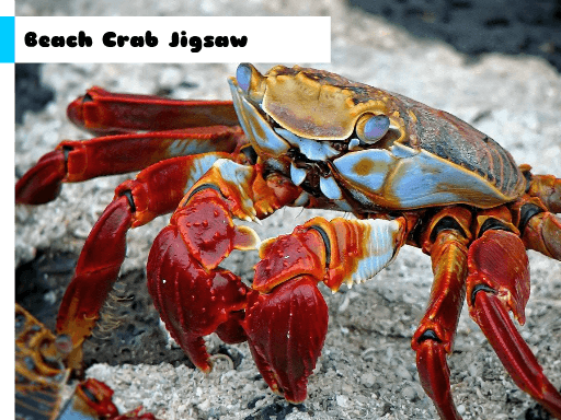 Beach Crab Jigsaw - browser game screenshot