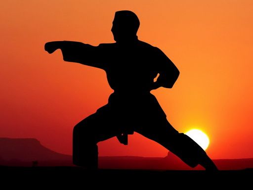 Karate Sunset Warriors Karate Sunset Warriors - browser game screenshot