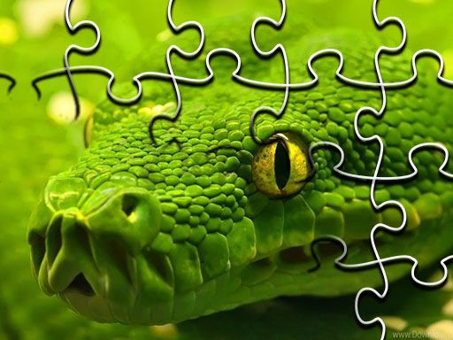 Snakes Jigsaw Puzzle - browser game screenshot