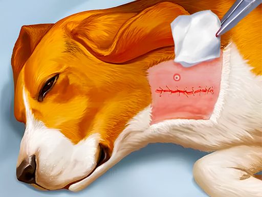 Dog Hospital - browser game screenshot
