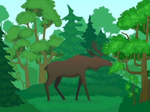 Wild Animals Coloring - browser game screenshot