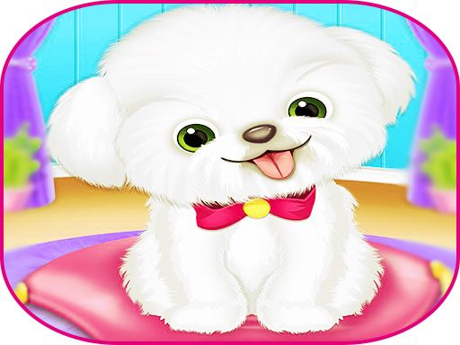 Pets Day Care Pro - browser game screenshot