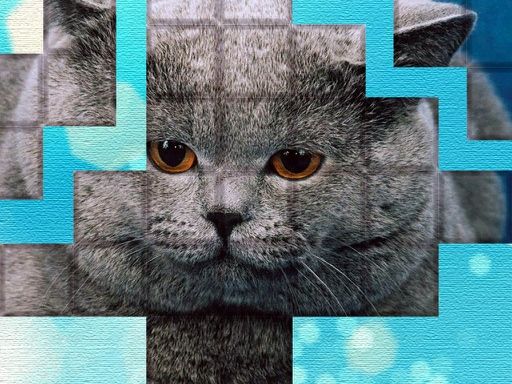 PicPu - Cat Puzzle PicPu - Cat Puzzle - browser game screenshot