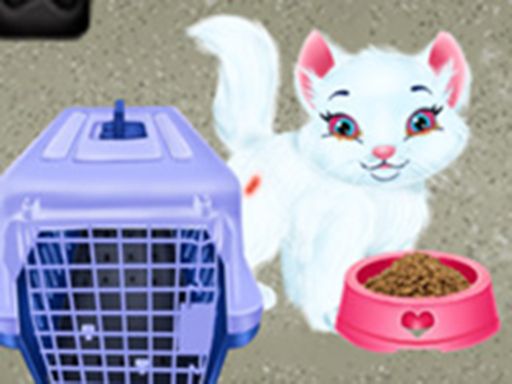 Baby Taylor Pet Care - Save Cute Animals - browser game screenshot